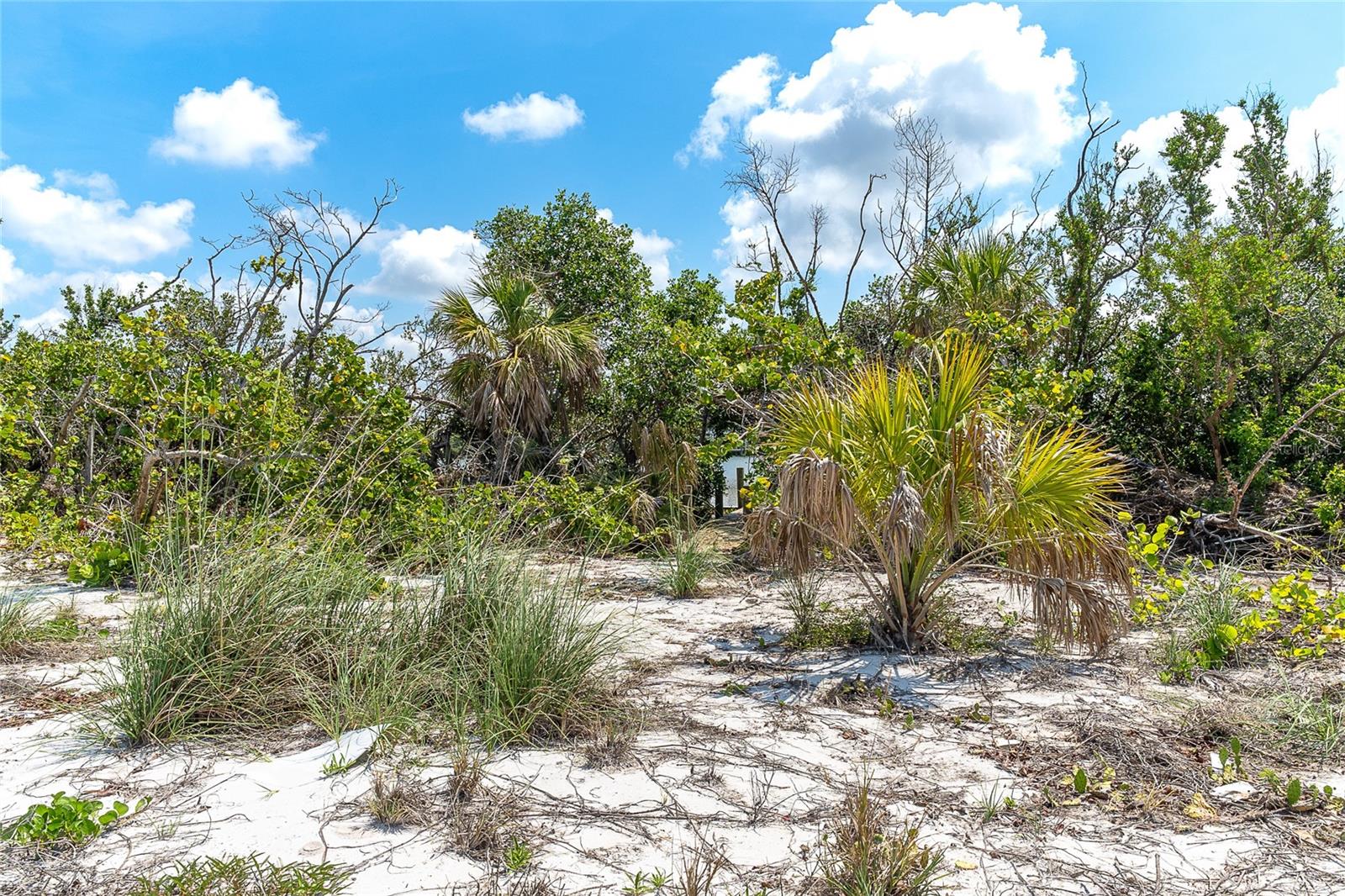 PALM ISLAND ESTATES UN 4 - Land