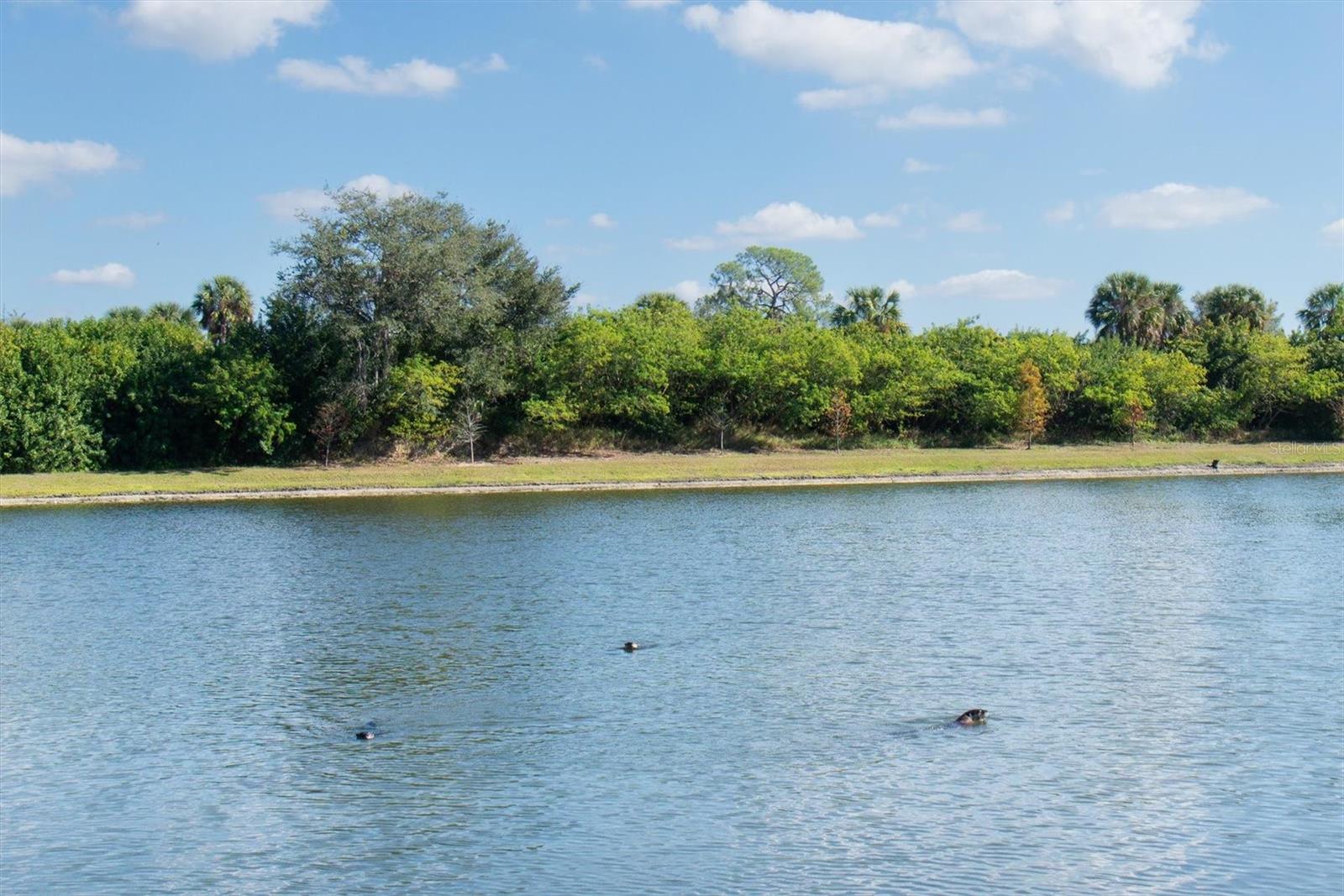 DUG CRK TWNHMS - Residential