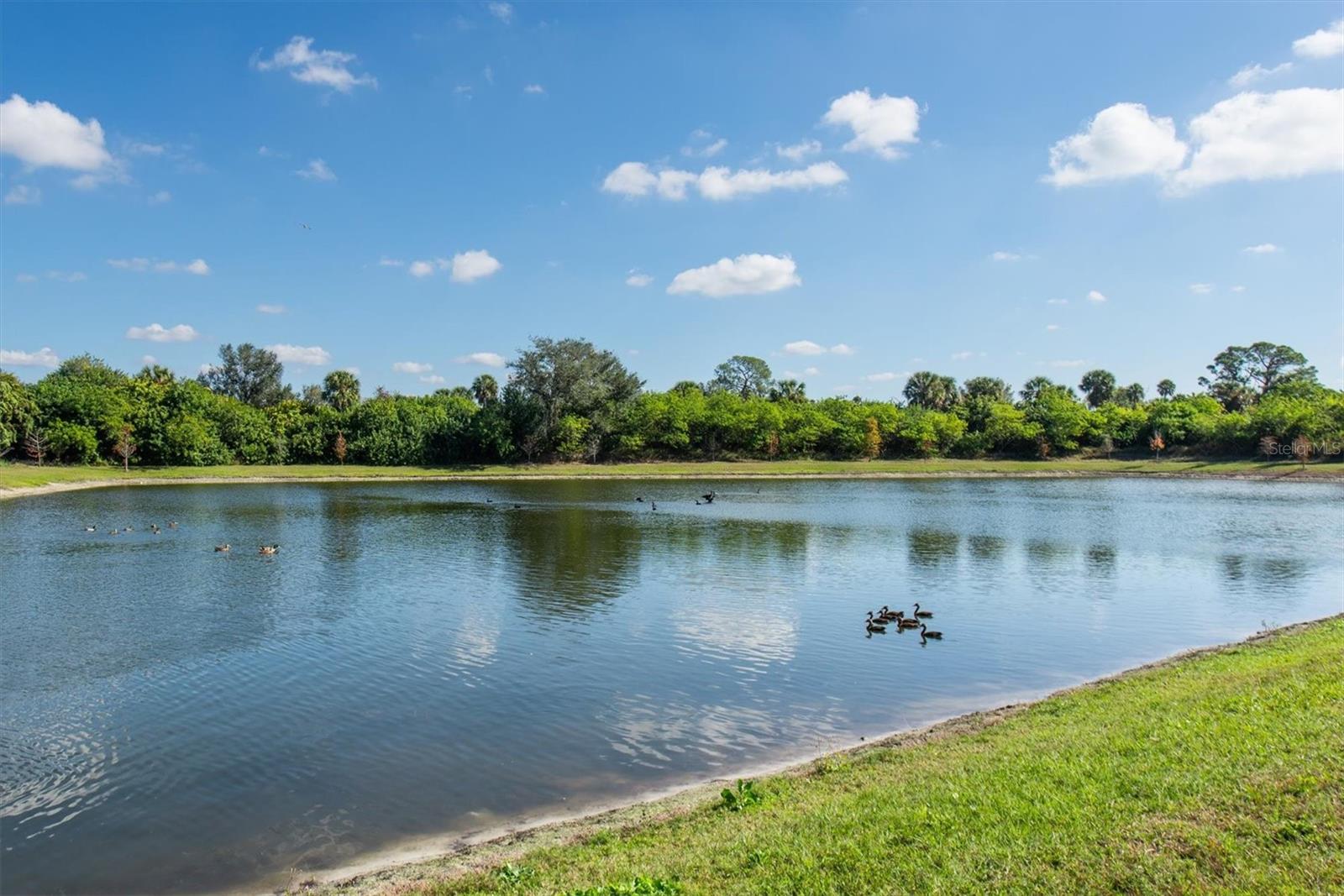 DUG CRK TWNHMS - Residential