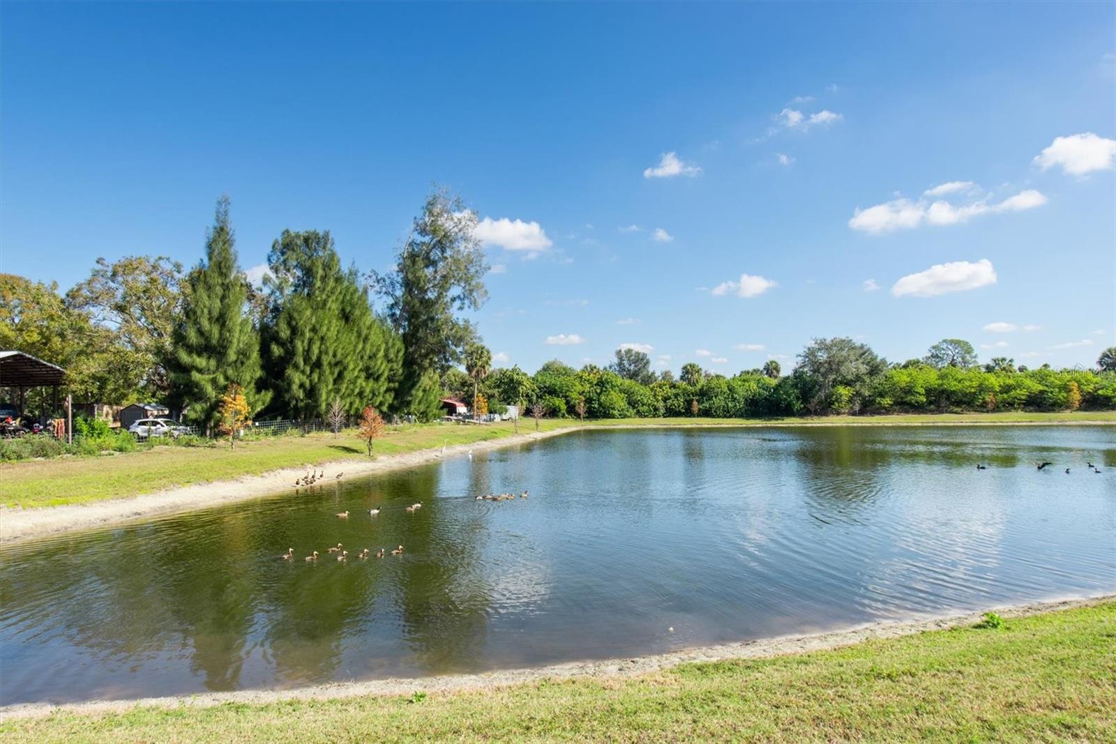 DUG CRK TWNHMS - Residential