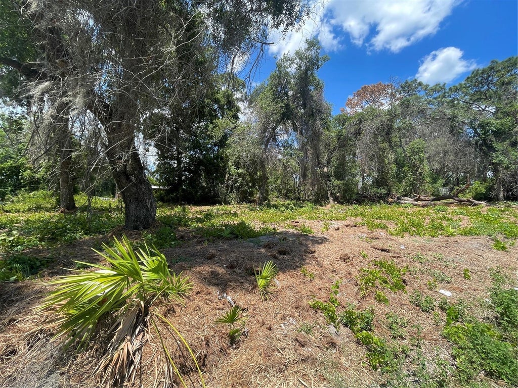 Photo of County Road 42, Umatilla, FL 32784 (MLS # G5113274)