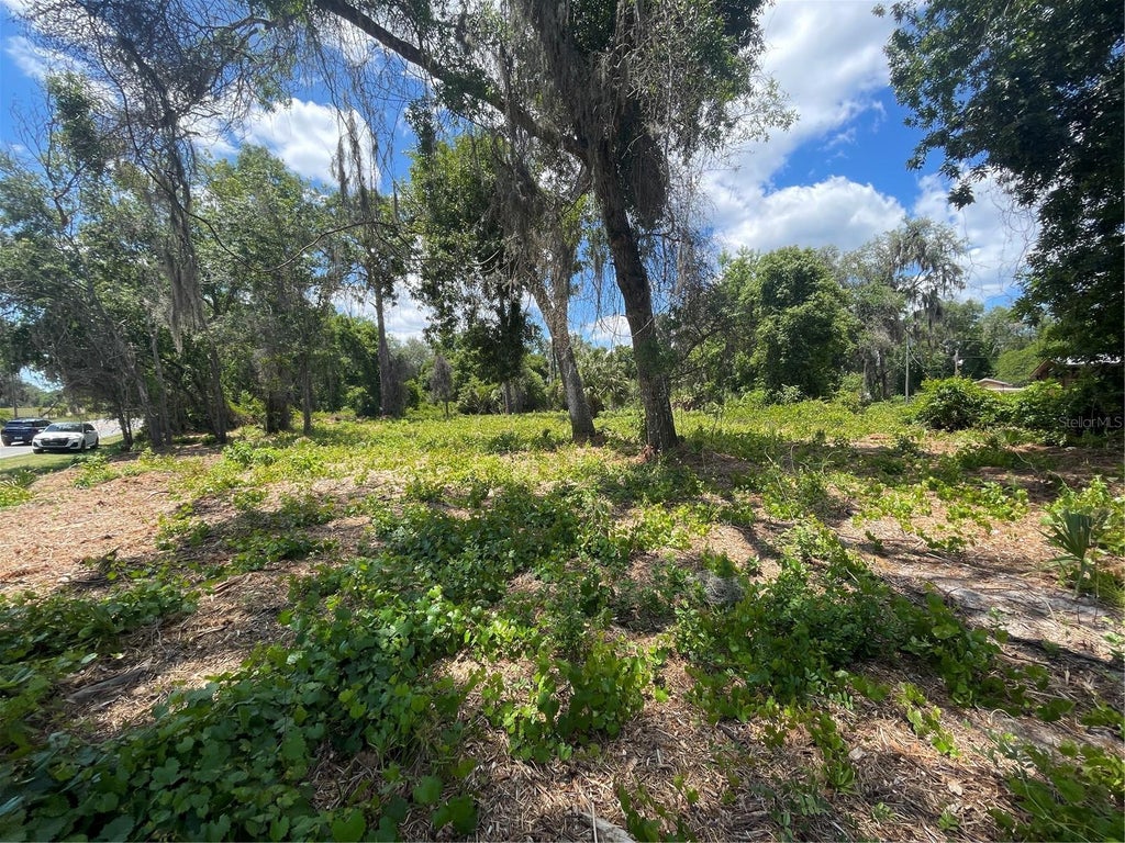 Photo of County Road 42, Umatilla, FL 32784 (MLS # G5113274)