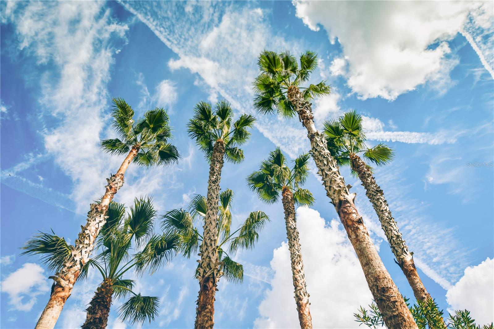 SAINT ARMANDS DIV JOHN RINGLING ESTATES - Residential