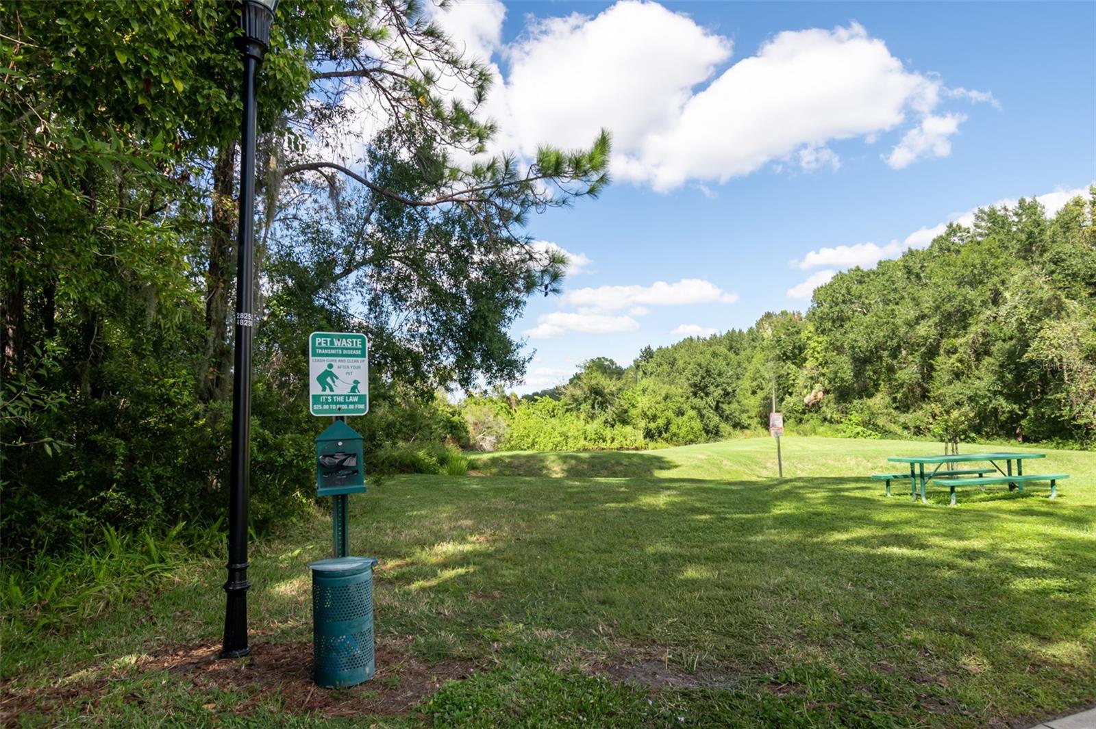 THE ENCLAVE AT RICHMOND PLACE - Residential