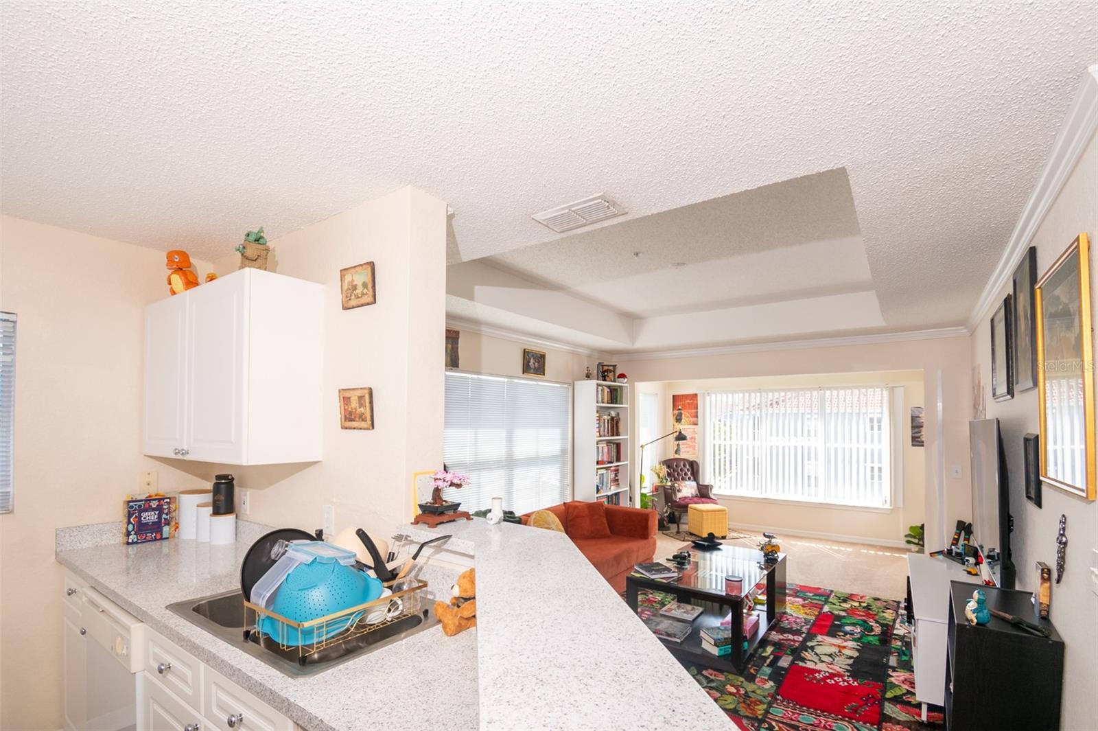 THE ENCLAVE AT RICHMOND PLACE - Residential