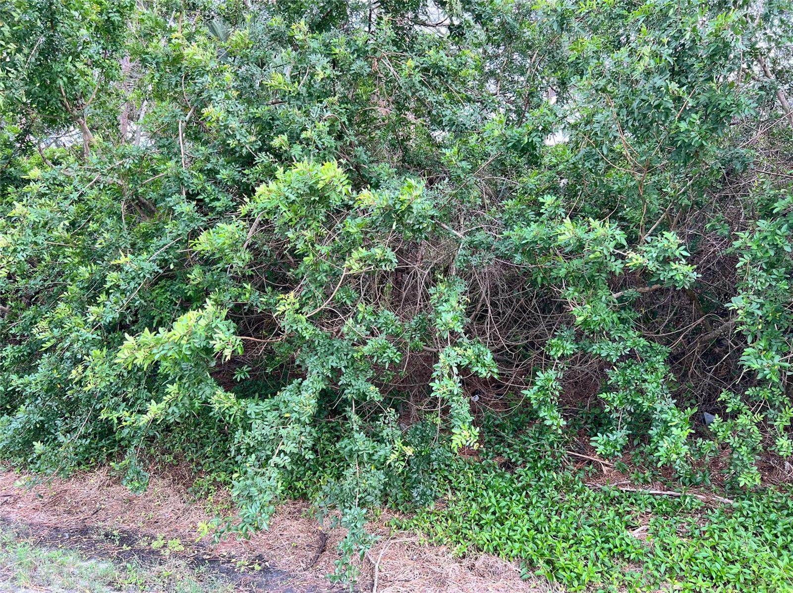 N FLORIDA AVENUE