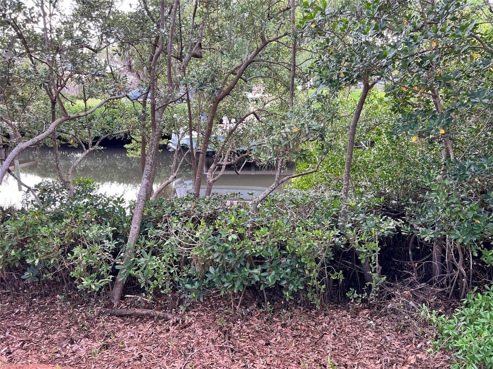 COQUINA BEACH - Land