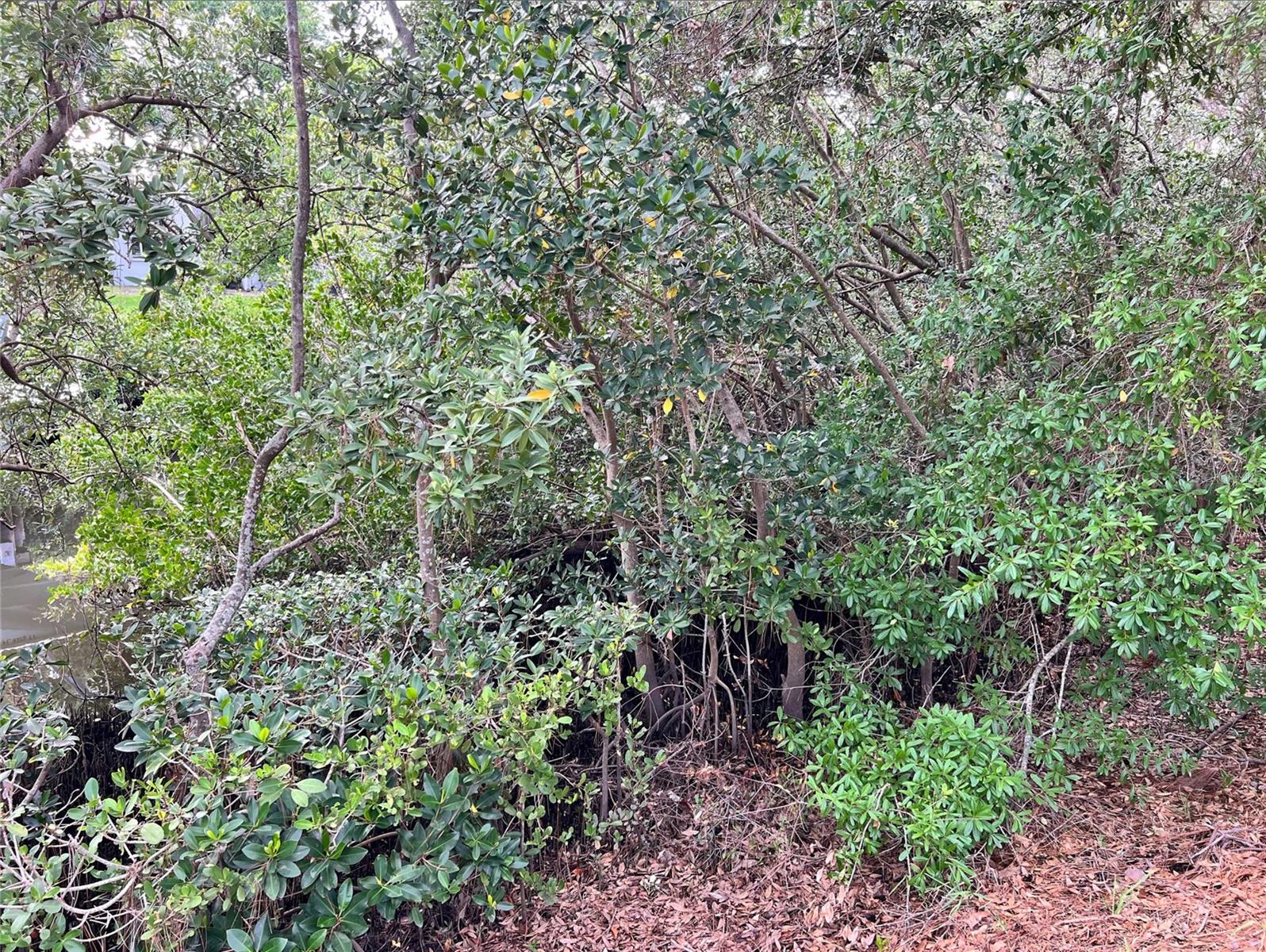 N FLORIDA AVENUE