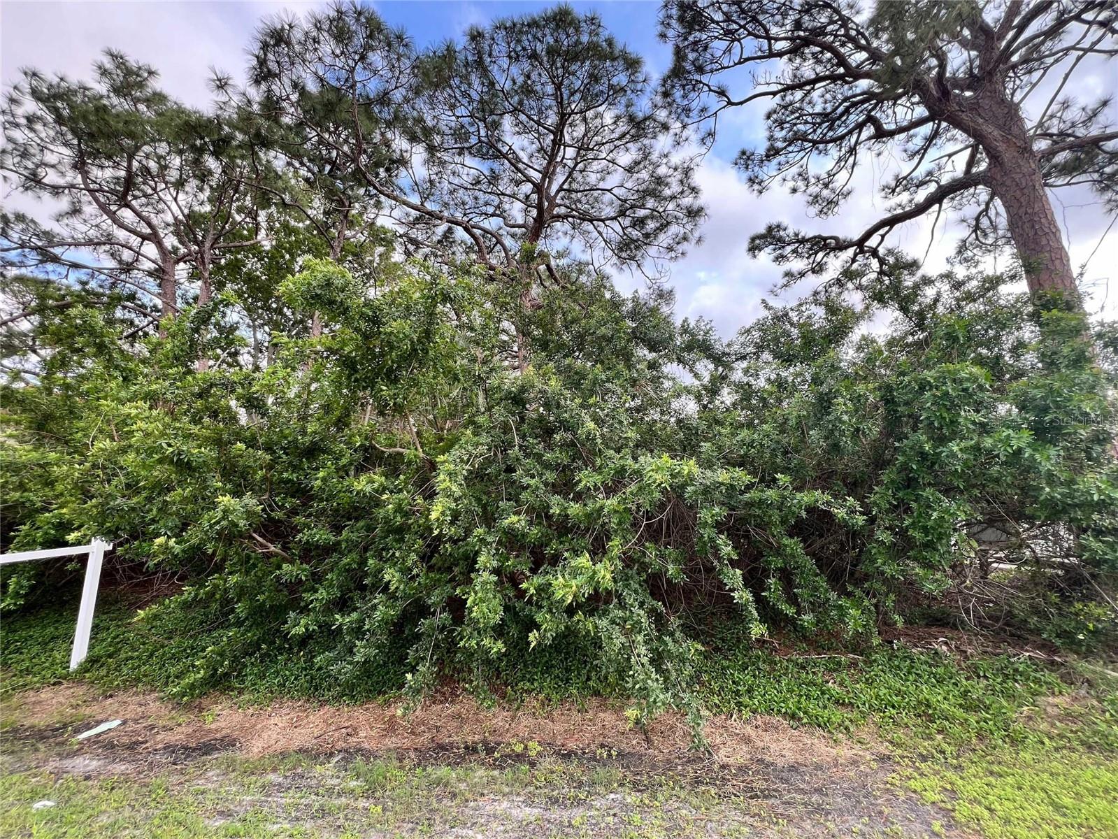 N FLORIDA AVENUE