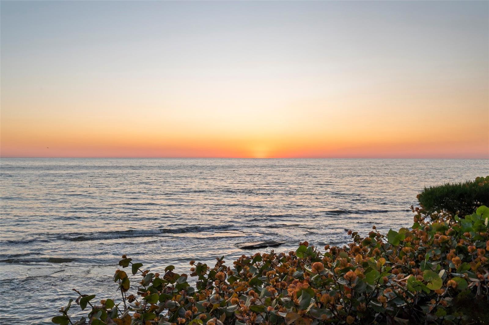 WHITE BEACH FRUIT CO PROP - Residential