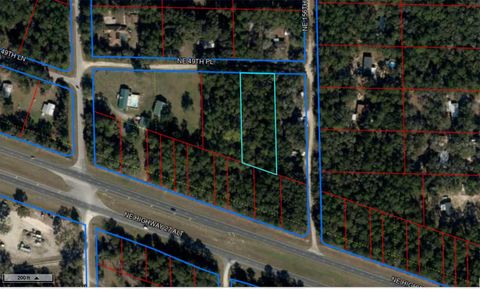 00 NE 49TH PLACE WILLISTON FL 32696