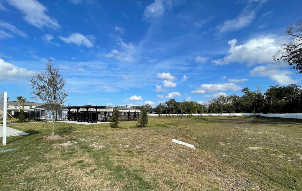 Photo of 36221 Risa Michele Street, Zephyrhills, FL 33541 (MLS # O6374992)