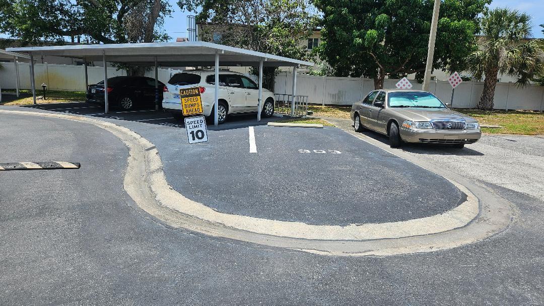 BAY PINES APTS CONDO - Residential