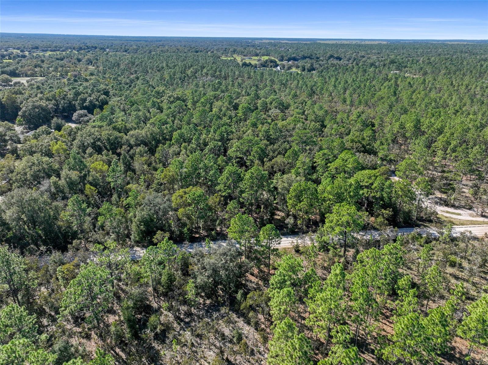 Seller financing may be available. Discover the potential of this prime 5-acre wooded parcel in Dunnellon. Ideally located near town amenities, this property offers the perfect opportunity to build your forever home in a peaceful setting or to hold as a long-term investment in a growing area. Conveniently close to the city's shopping and healthcare, the property also offers excellent investment potential in a growing area.