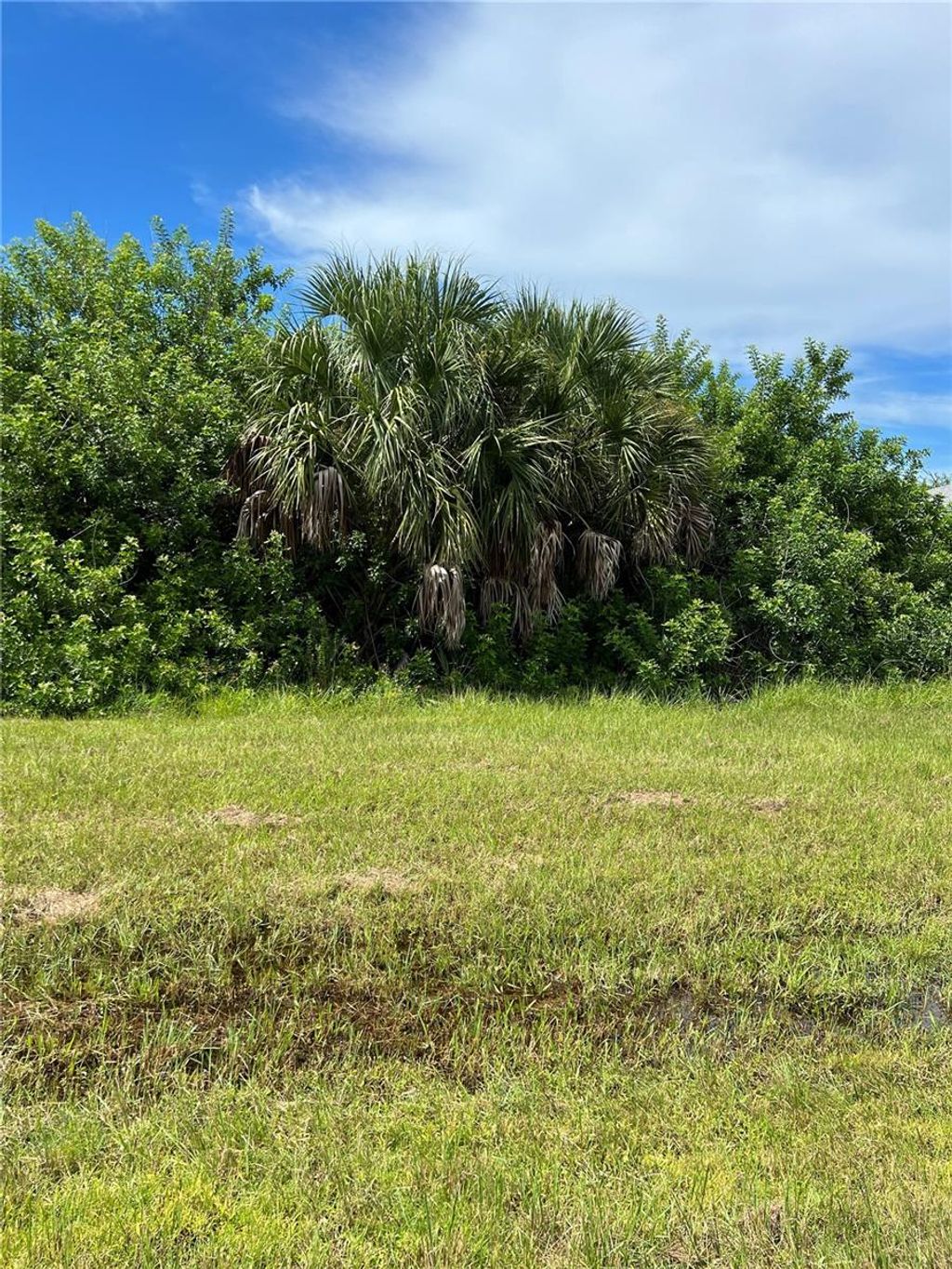 Photo of 156 Cougar Way, Rotonda West, FL 33947 (MLS # C7514883)