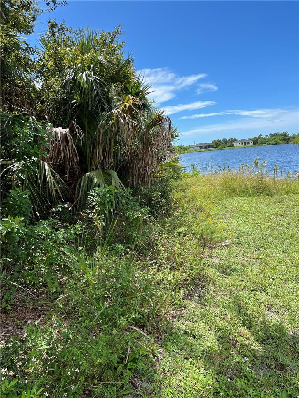 Photo of 156 Cougar Way, Rotonda West, FL 33947 (MLS # C7514883)