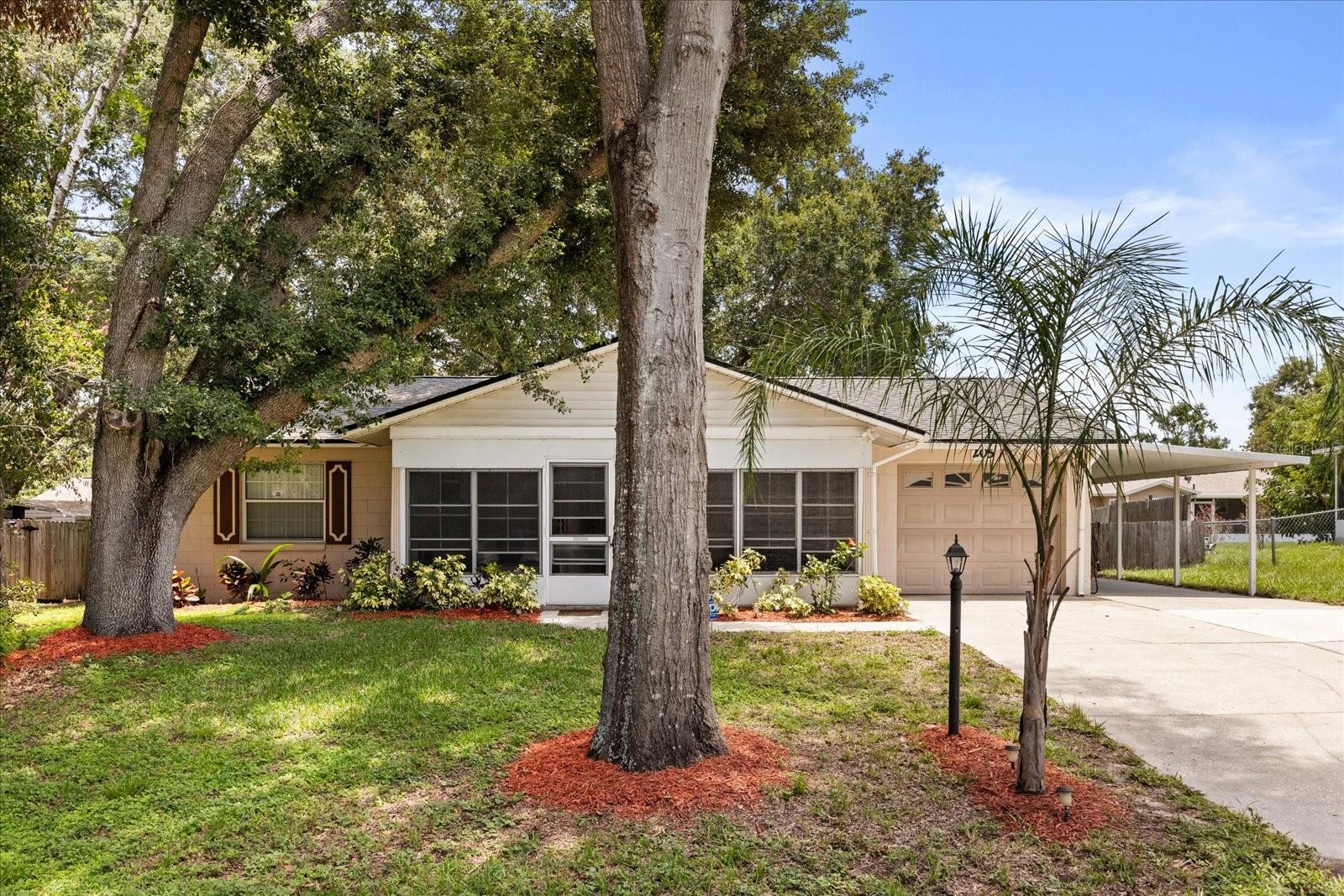 205 CRICKET HOLLOW LANE