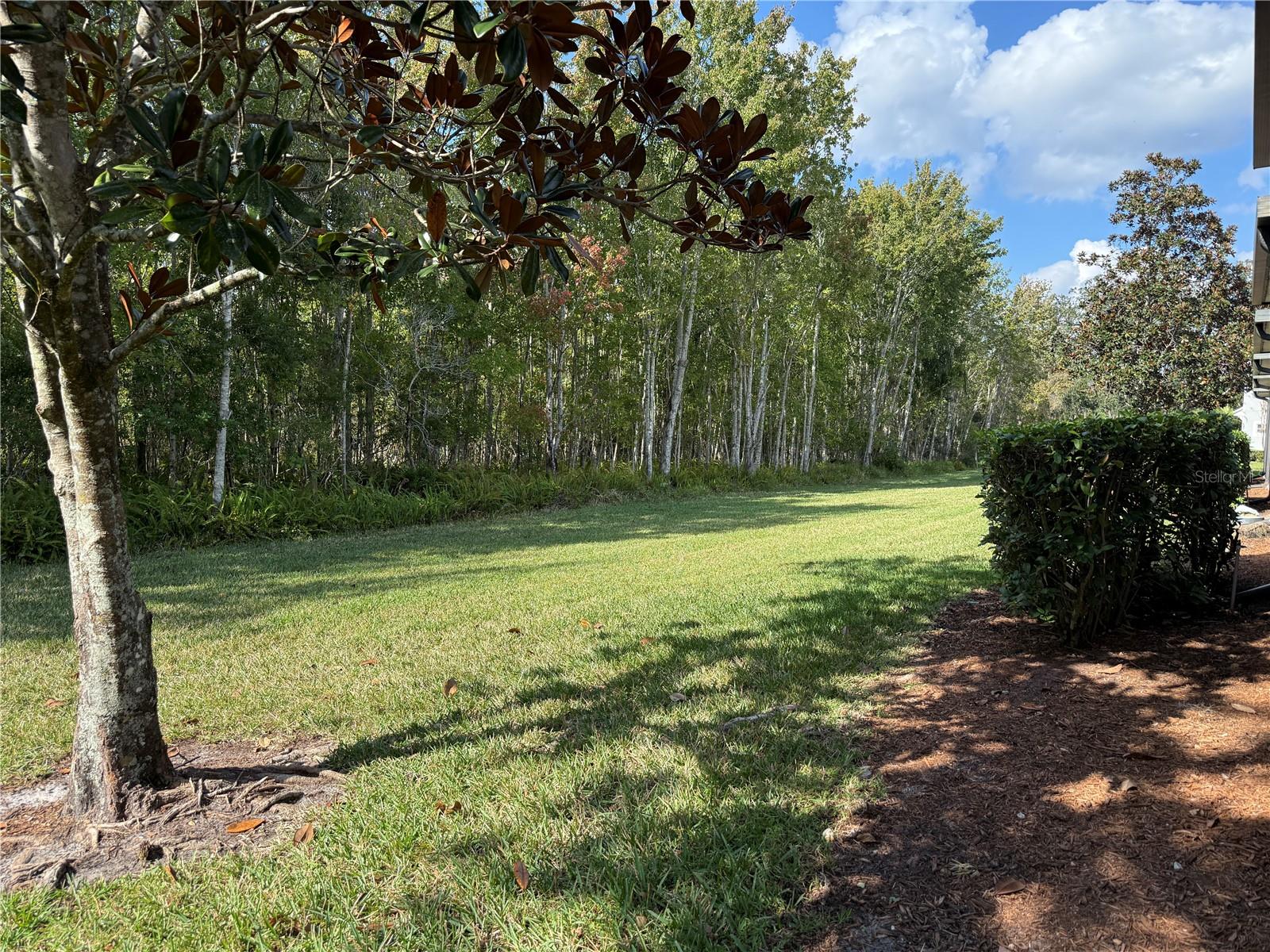 SPRING ISLE - Residential Lease