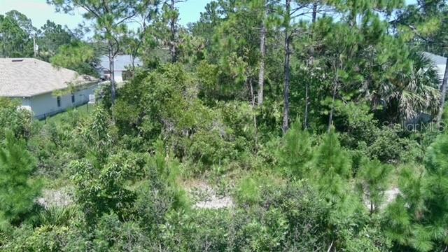 PALM COAST, SEMINOLE WOODS DPX ZONED LOT IN WONDERFUL LOCATION. THIS LOT IS JUST MINUTES FROM SCHOOLS, SHOPPING, DINING, HOSPTIAL AND OF COURSE THE BEACH. PALM COAST IS LOCATED A SHORT DISTANCE OFF I-95 AND IS CLOSE TO 4 MAJOR AIRPORTS JACKSONVILLE, DAYTONA, SANFORD AND ORLANDO AIRPORTS PROVIDE EVERY TRAVEL OPTION IMAGINABLE. PALM COAST IS JUST MINUTES AWAY FROM ST. AUGUSTINE, DAYTONA BEACH AND JUST A LITTLE OVER AN HOUR AWAY FROM ALL OF THE ORLANDO ATTRACTIONS. REACH OUT NOW, BUY NOW AND BUILD LATER. THESE OPPORTUNITES ARE BECOMING HARDER AND HARDER TO SECURE. DON'T WAIT!