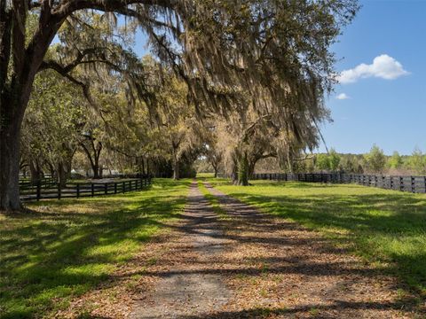 Tiny photo for 1100 SW 110th Avenue, Ocala, FL 34481 (MLS # OM720691)