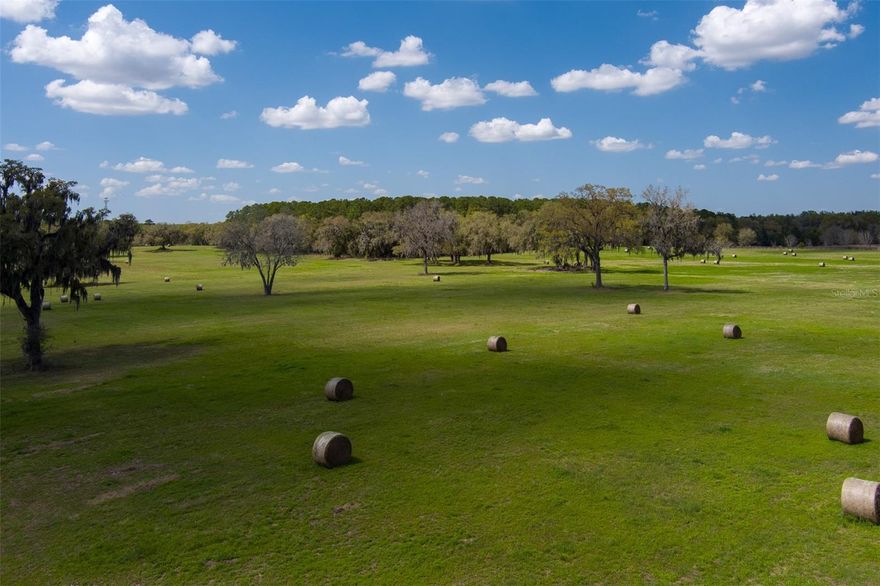 Rare opportunity to own 49.5 acres in the heart of Ocala’s renowned horse country, just 5 minutes from the World Equestrian Center. This expansive property is dotted with mature oak trees, adding natural beauty and character throughout the land. Fully fenced and open, the property offers plenty of space for barns, paddocks, riding arenas, and pastures, making it ideal for building your dream equestrian farm, private estate, or country retreat. The property also offers nearly complete privacy, tucked away along one of the most historic and beautiful roads in Marion County. Enjoy being minutes from world-class equestrian competitions, dining, and shopping, while taking advantage of the open space and freedom that nearly 50 acres provide. This is a rare opportunity to create the equestrian property you’ve been looking for!