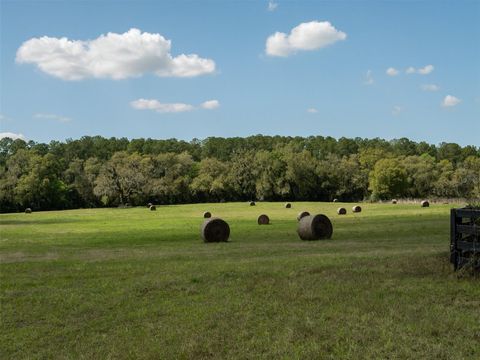 Tiny photo for 1100 SW 110th Avenue, Ocala, FL 34481 (MLS # OM720691)