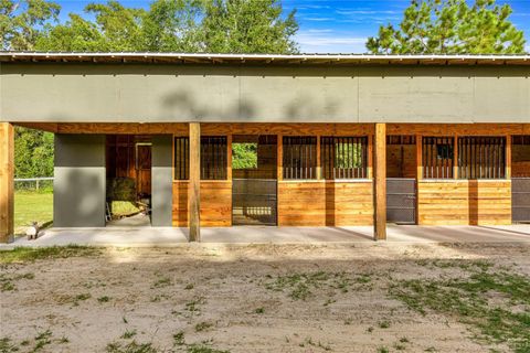 Tiny photo for 8106 SW 19th Lane, Ocala, FL 34481 (MLS # OM708783)