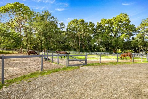 Tiny photo for 8106 SW 19th Lane, Ocala, FL 34481 (MLS # OM708783)