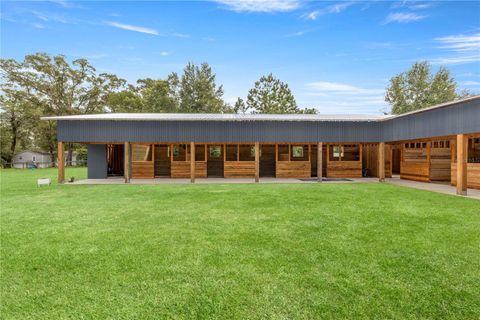 Tiny photo for 8106 SW 19th Lane, Ocala, FL 34481 (MLS # OM708783)