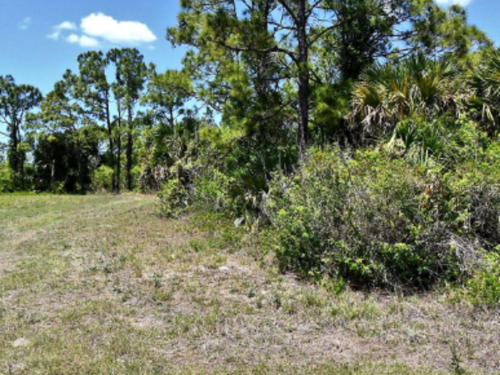 Photo of Newman Drive, North Port, FL 34288 (MLS # A4707564)