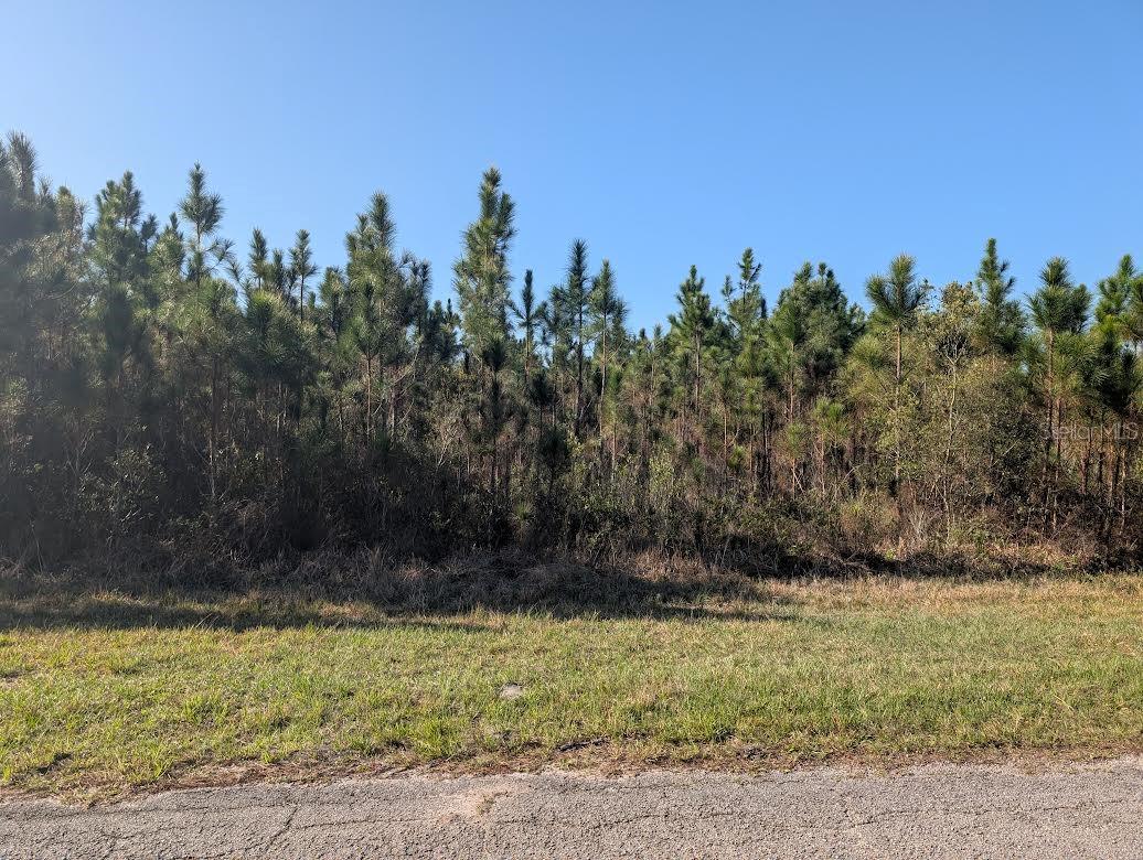 INDIAN LAKE ESTATES - Land