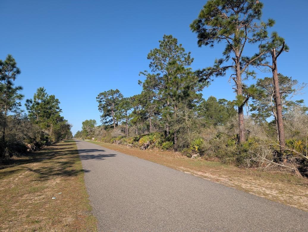 INDIAN LAKE ESTATES - Land