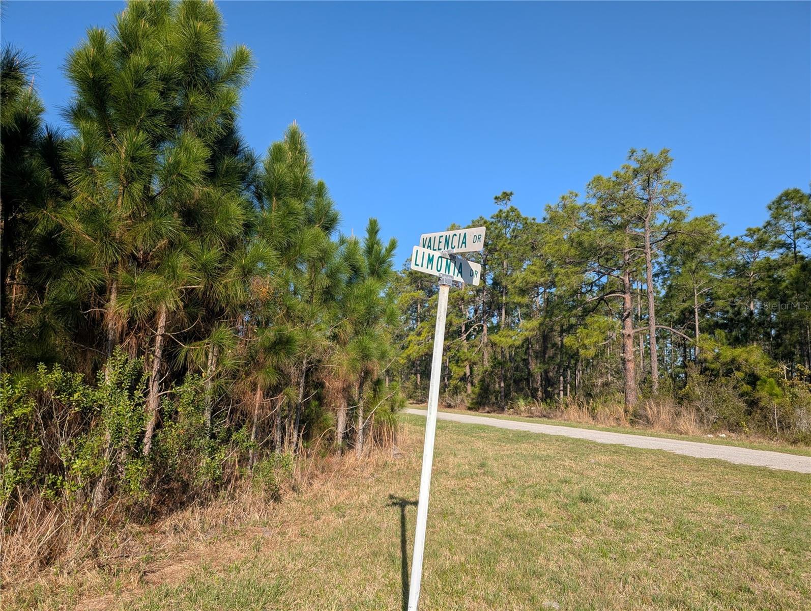 INDIAN LAKE ESTATES - Land