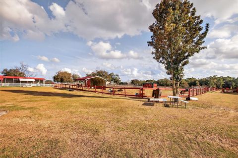 Tiny photo for 11150 W Highway 40, Ocala, FL 34482 (MLS # OM718865)