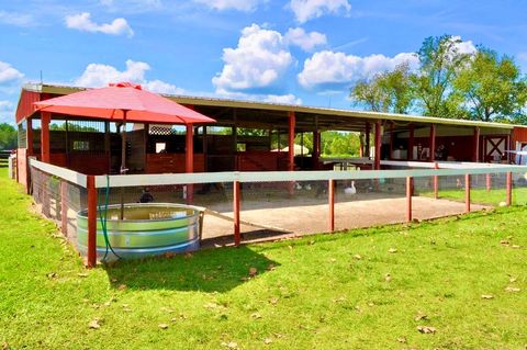 Tiny photo for 11150 W Highway 40, Ocala, FL 34482 (MLS # OM718865)