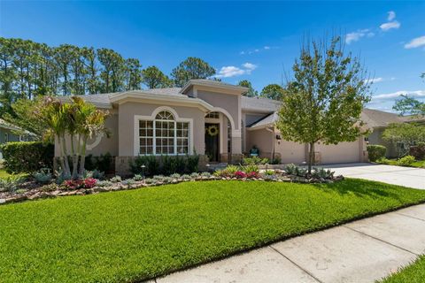 Photo of 10423 Greenhedges Drive, Tampa, FL 33626 (MLS # TB8489768)