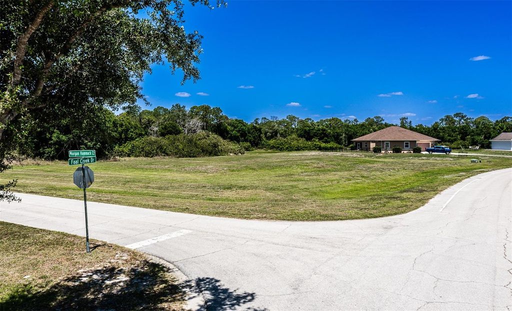 Photo of 6211 Foal Creek Drive, Parrish, FL 34219 (MLS # A4691691)