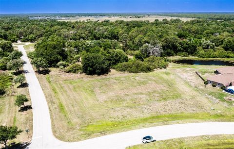 Photo of 6211 Foal Creek Drive, Parrish, FL 34219 (MLS # A4691691)