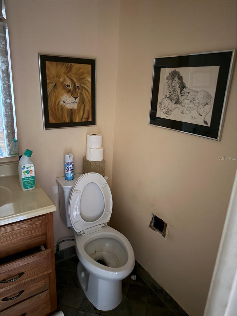 VILLAGE ON ISLAND ESTATES - Residential