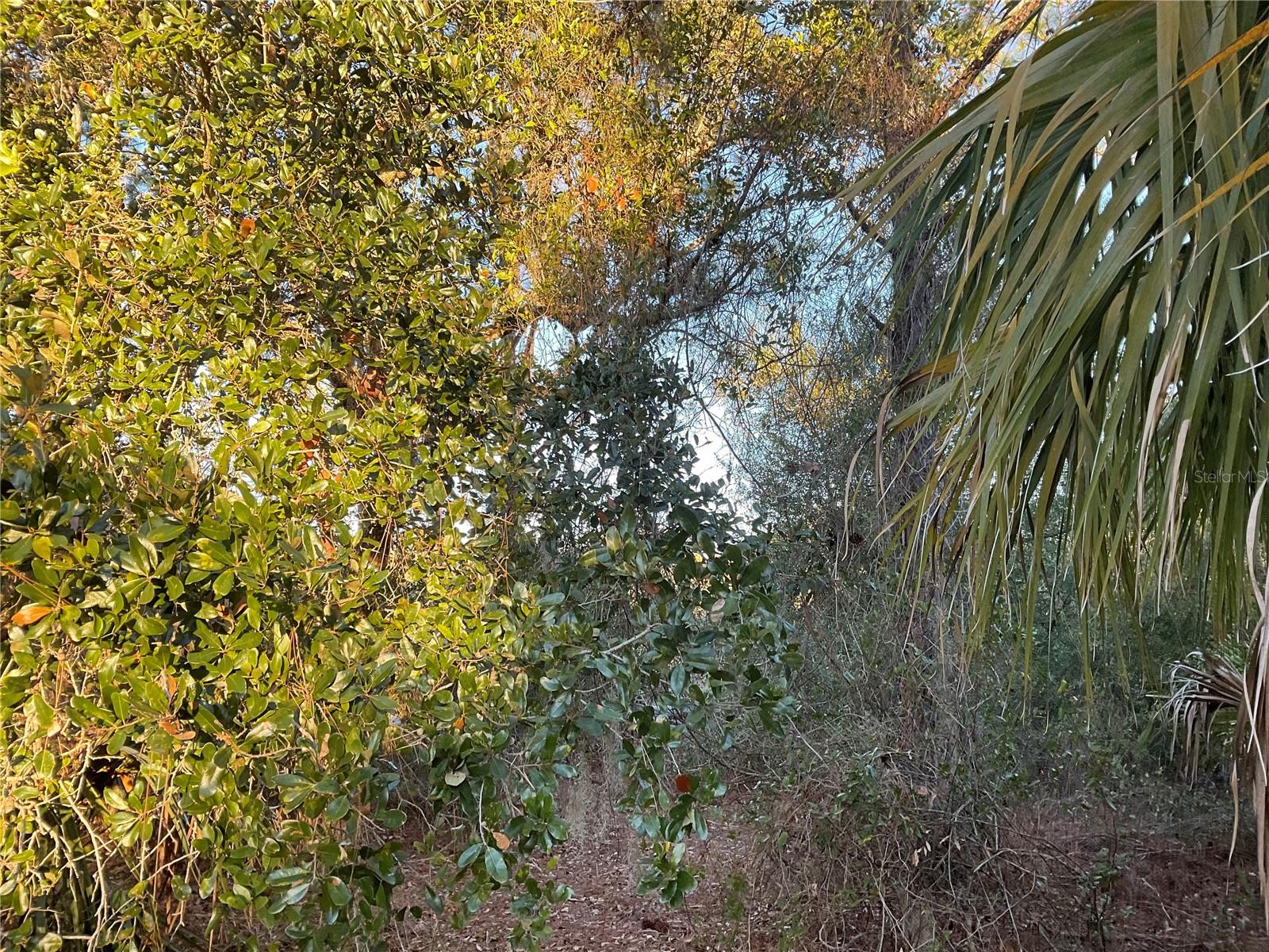 PORT CHARLOTTE SUB 21 - Residential