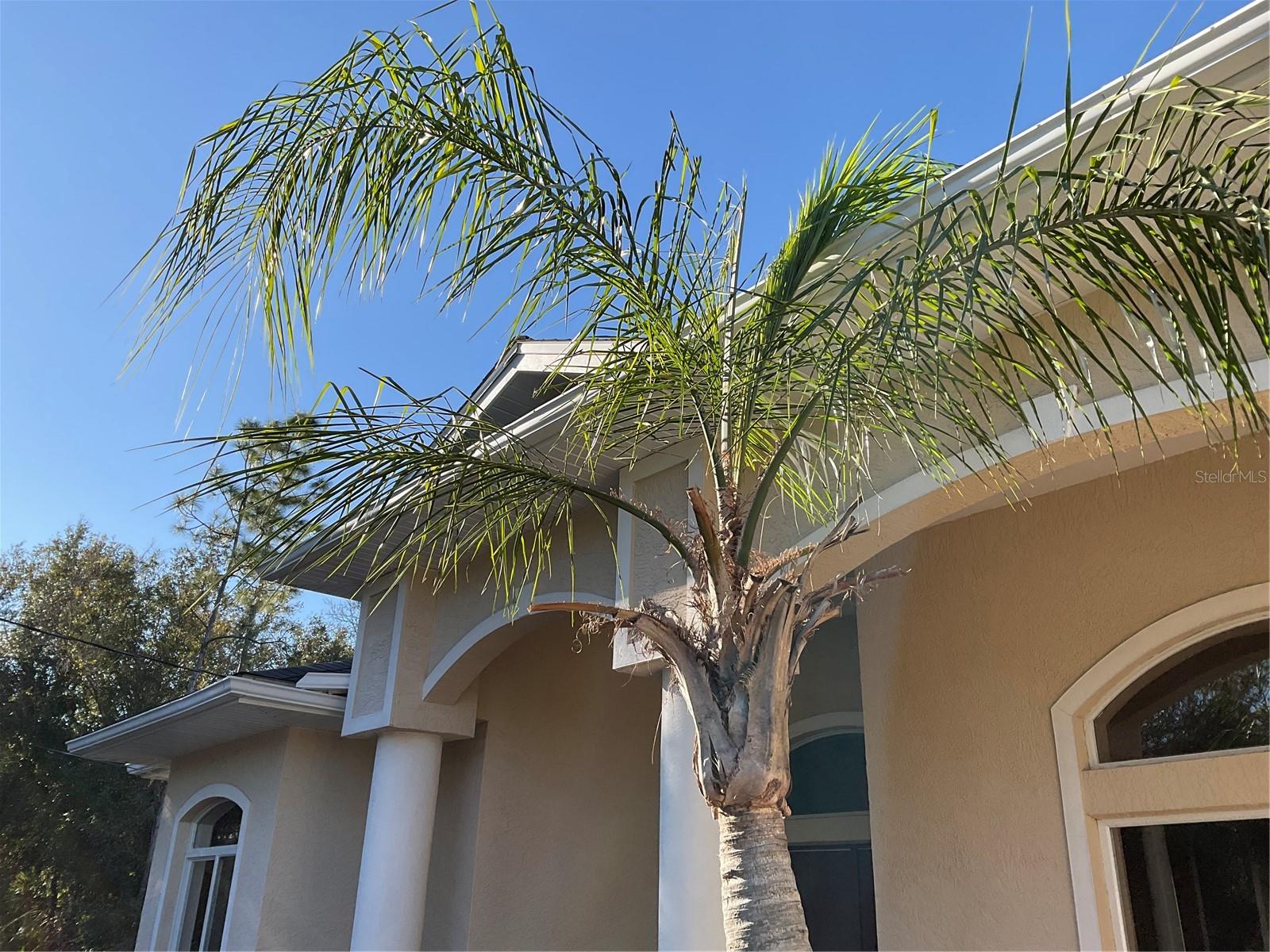 PORT CHARLOTTE SUB 21 - Residential