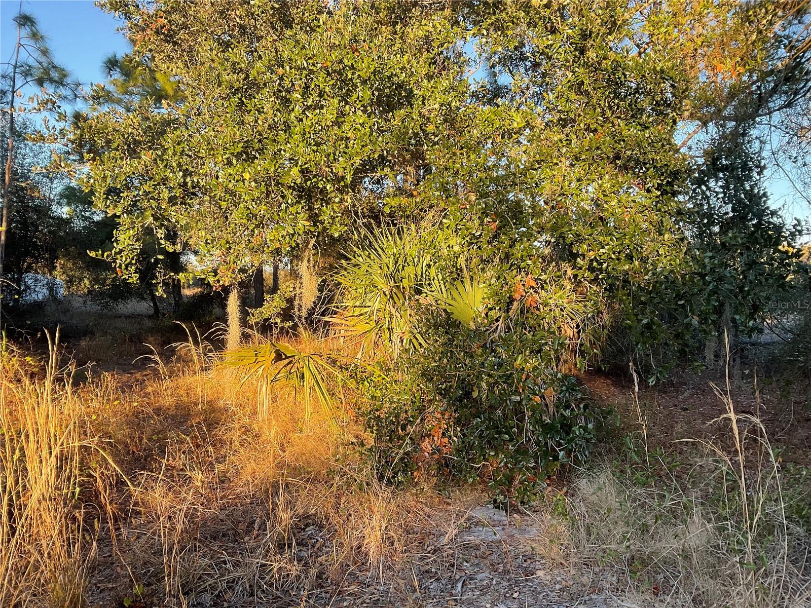 PORT CHARLOTTE SUB 21 - Residential