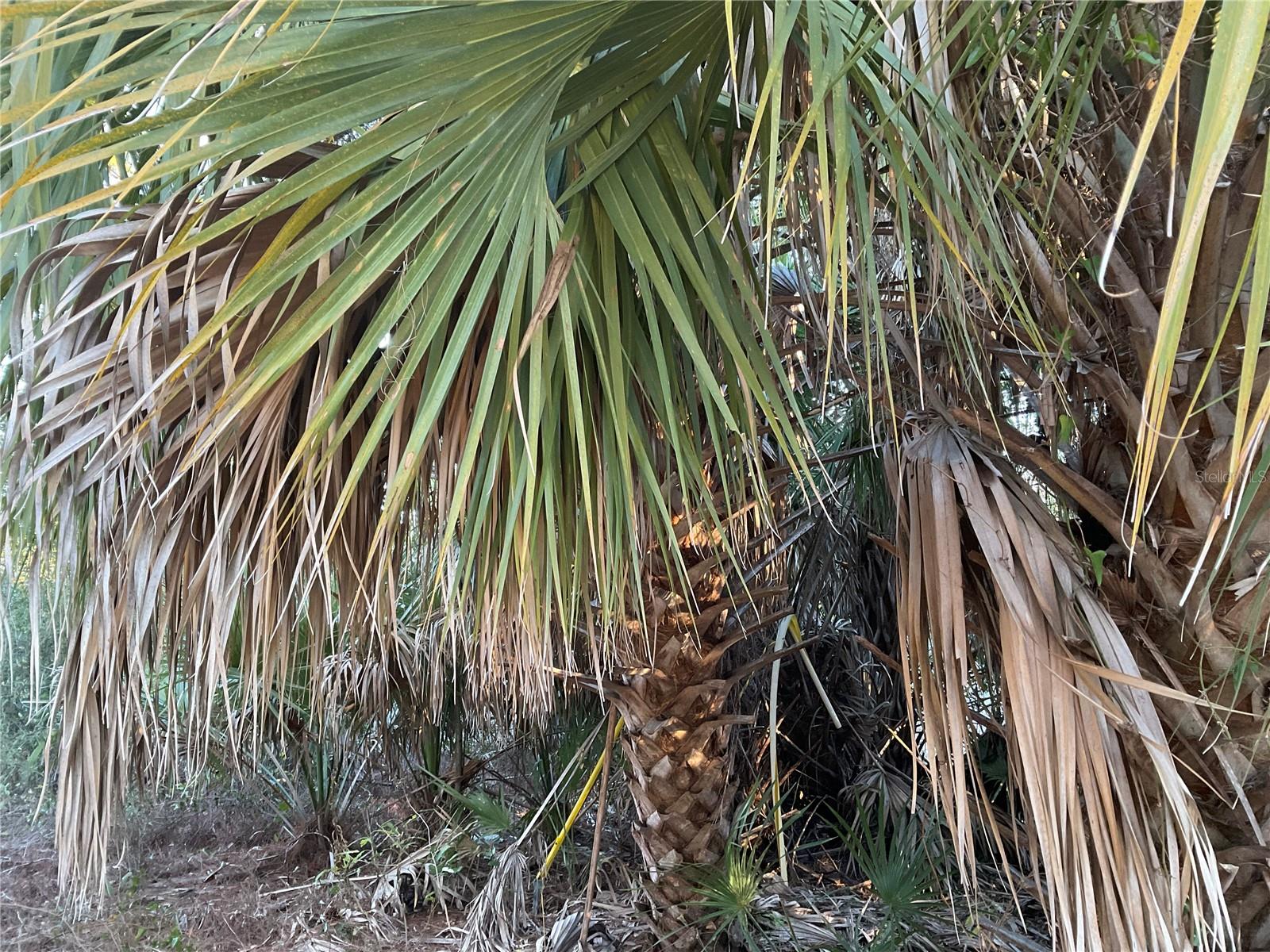 PORT CHARLOTTE SUB 21 - Residential