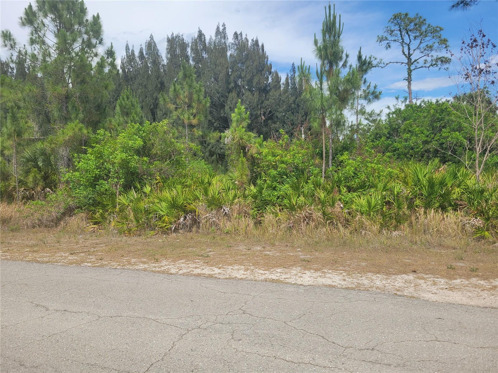 LEHIGH ACRES - Land