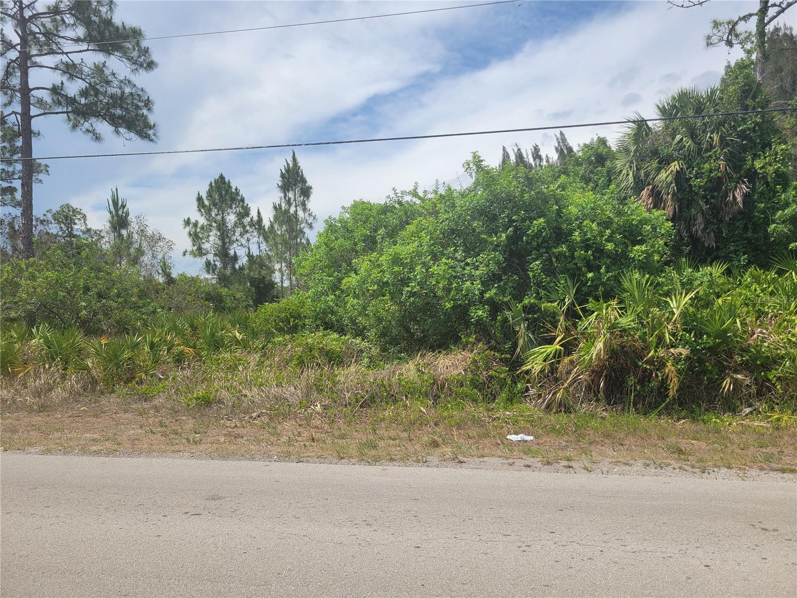 LEHIGH ACRES - Land