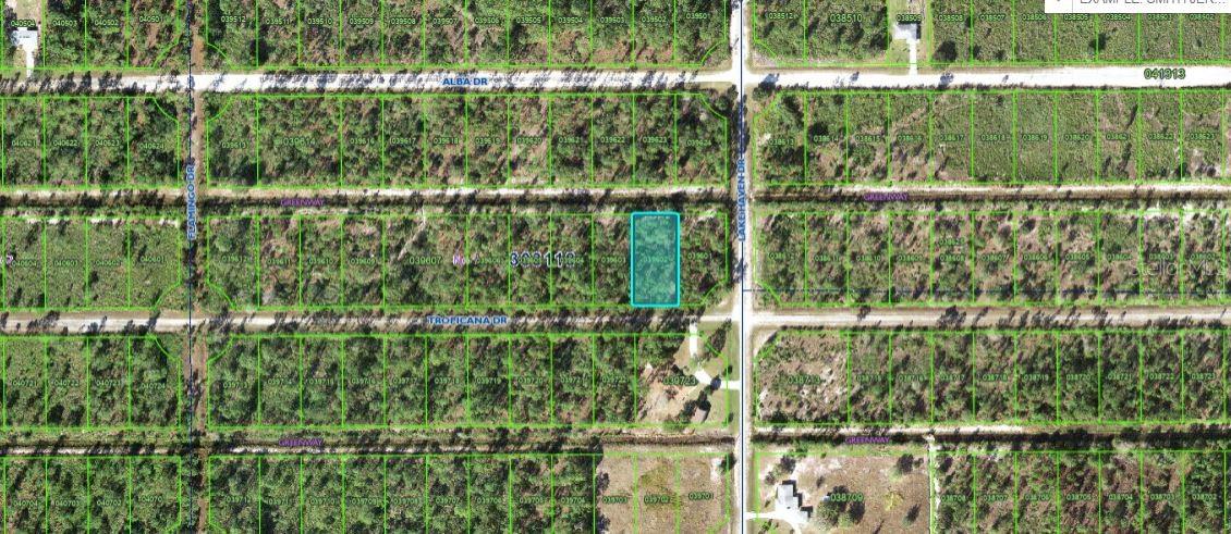 INDIAN LAKE ESTATES - Land