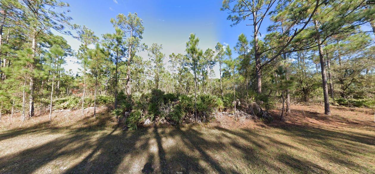 INDIAN LAKE ESTATES - Land
