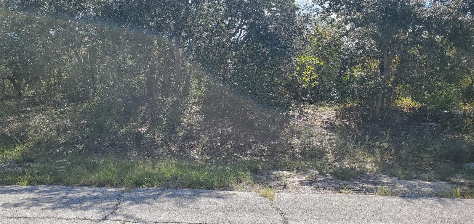 Fantastic buy on this beautiful homesite. Located in the fast-growing community of Poinciana. High and dry and only two doors down from an existing home. Priced right for a quick sale. Call and see today.