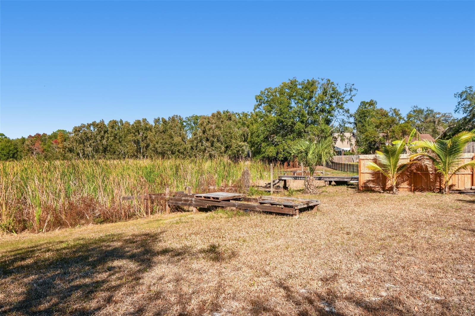 TAMPAS NORTH SIDE COUNTRY CLUB AREA UNIT - Residential