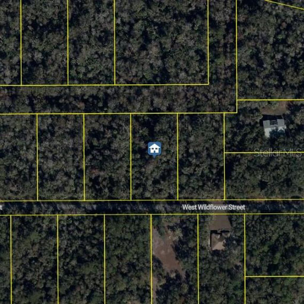 Photo of 11939 W Wildflower Street, Crystal River, FL 34428 (MLS # S5146566)